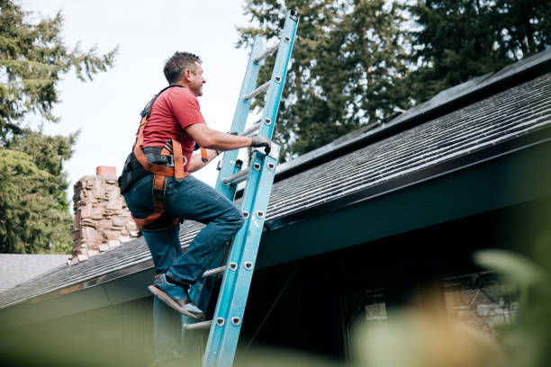 Best Roof Insulation Installation  in Beaver Dam, WI